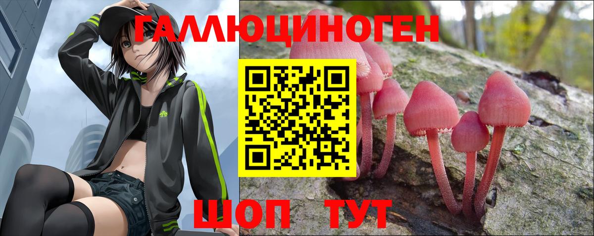 Сердобск  Псилоцибиновые грибы ЛСД  Вход с VPN  Галлюциногенные грибы GOLDEN TEACHER 