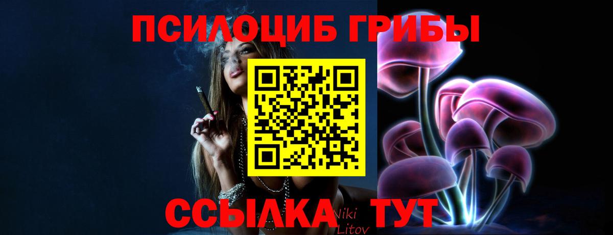 Галлюциногенные грибы Magic Shrooms Сердобск